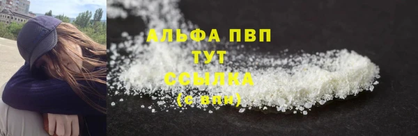 стаф Абинск