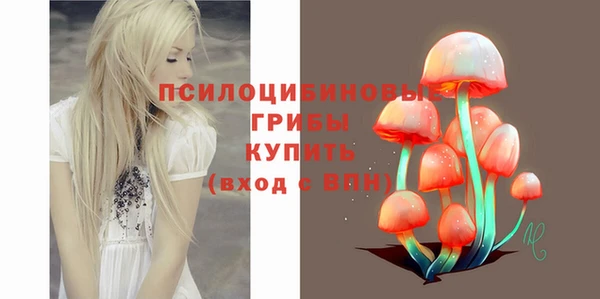 стаф Абинск