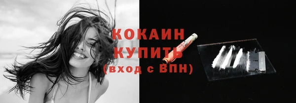 стаф Абинск
