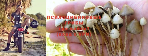 а пвп мука Абаза