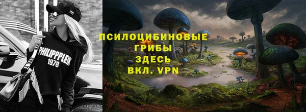 а пвп мука Абаза