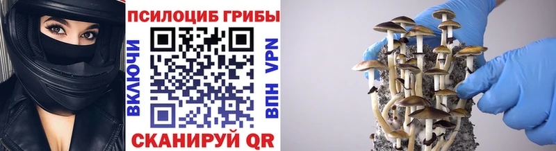 Галлюциногенные грибы GOLDEN TEACHER Красавино